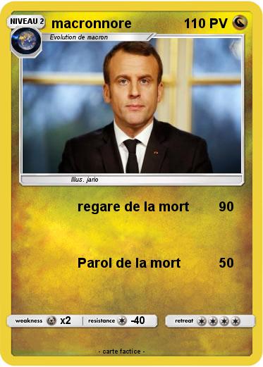 Pokemon macronnore