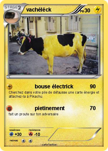 Pokemon vachéléck