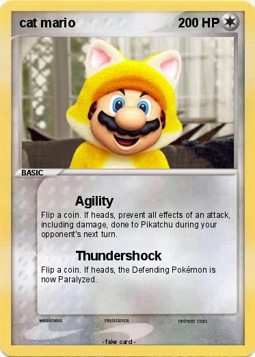 Pokemon cat mario