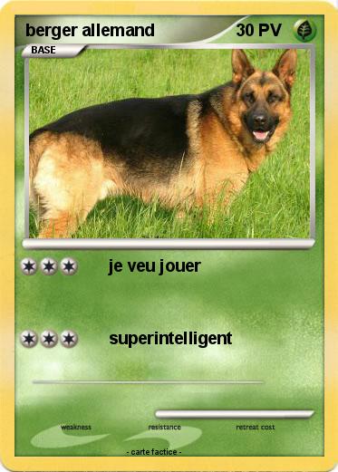 Pokemon berger allemand