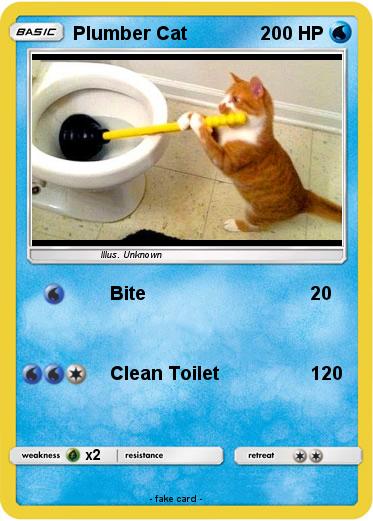 Pokemon Plumber Cat