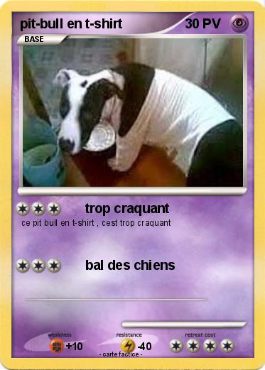 Pokemon pit-bull en t-shirt