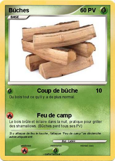 Pokemon Bûches