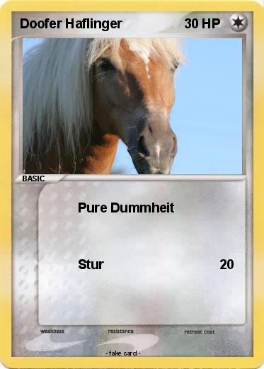 Pokemon Doofer Haflinger