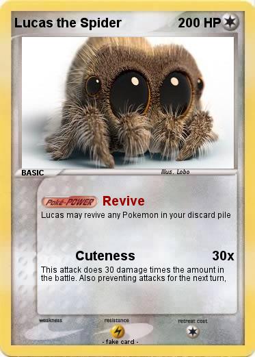 Pokemon Lucas the Spider