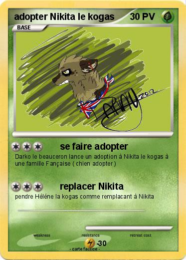 Pokemon adopter Nikita le kogas