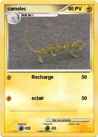 Pokemon camelec