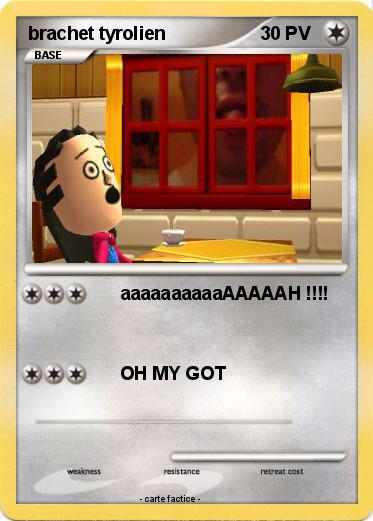 Pokemon brachet tyrolien