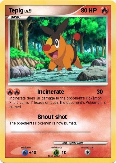 Pokemon Tepig