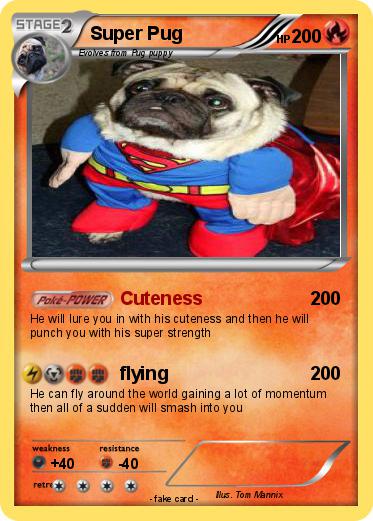 Pokemon Super Pug