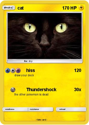Pokemon cat
