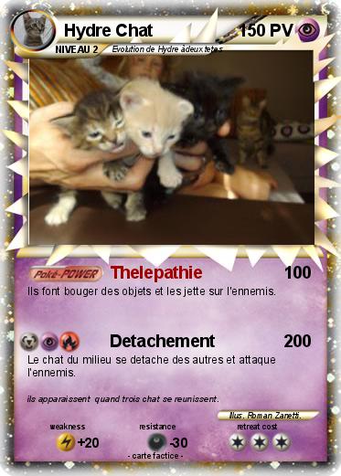 Pokemon Hydre Chat