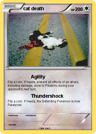 Pokemon cat death