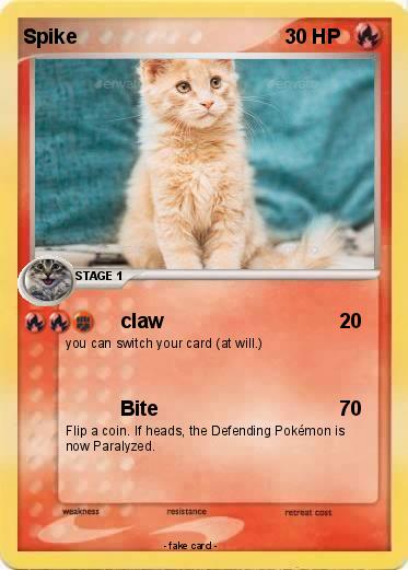 Pokemon Spike