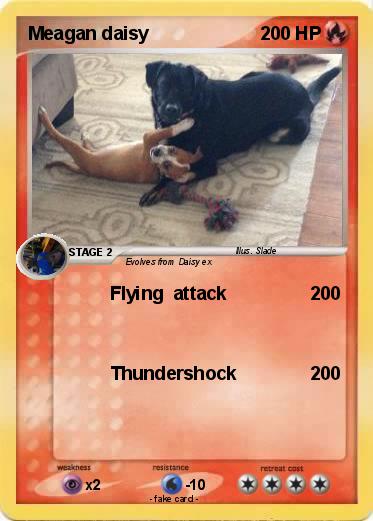 Pokemon Meagan daisy