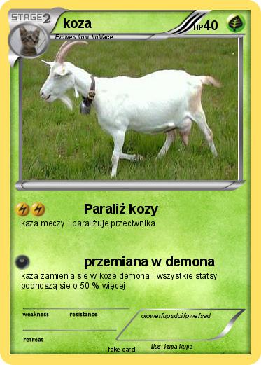Pokemon koza