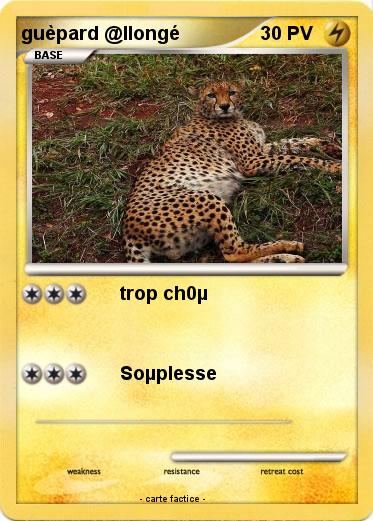 Pokemon guèpard @llongé