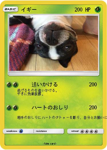 Pokemon イギー