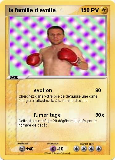 Pokemon la famille d evolie 