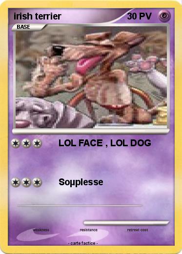Pokemon irish terrier