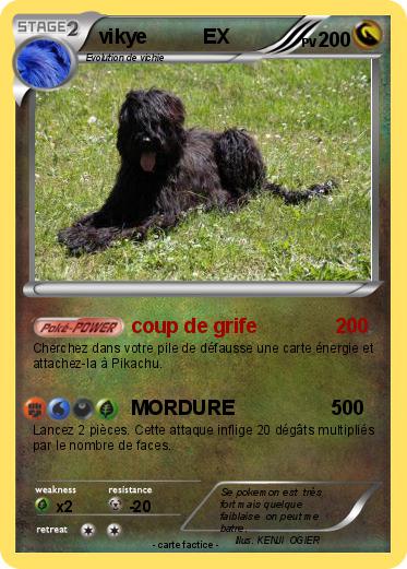 Pokemon vikye          EX