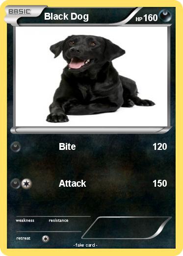 Pokemon Black Dog