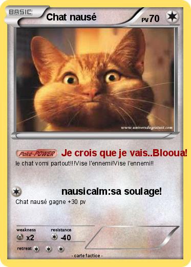 Pokemon Chat nausé