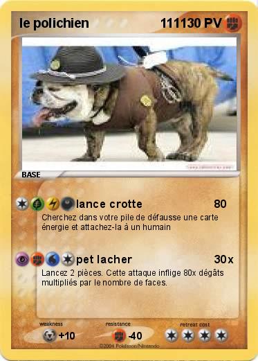 Pokemon le polichien                    111