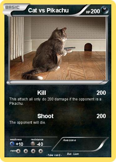 Pokemon Cat vs Pikachu
