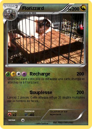 Pokemon Florizzard