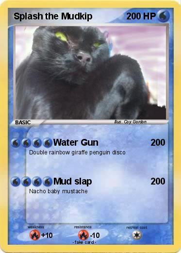 Pokemon Splash the Mudkip