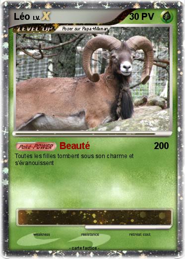Pokemon Léo