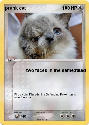Pokemon prank cat