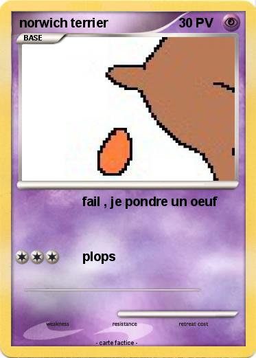 Pokemon norwich terrier
