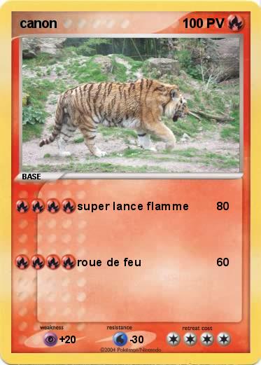 Pokemon canon
