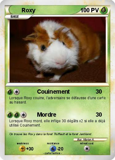 Pokemon Roxy