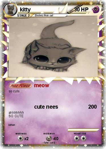 Pokemon kitty