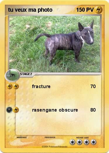 Pokemon tu veux ma photo                                                             