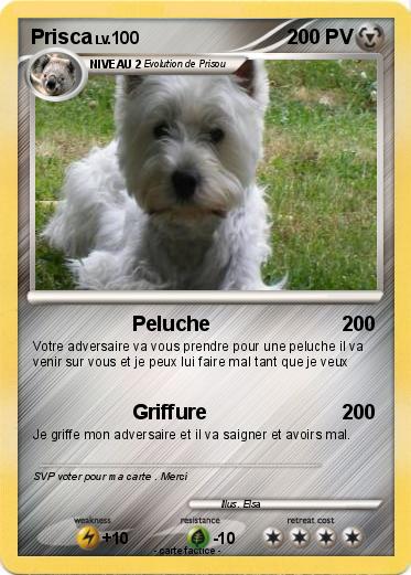 Pokemon Prisca