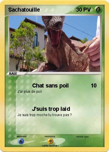Pokemon Sachatouille