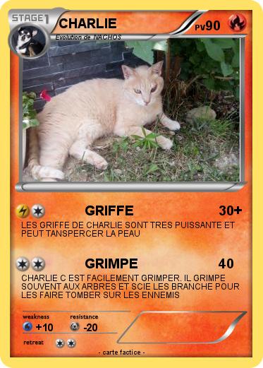 Pokemon CHARLIE