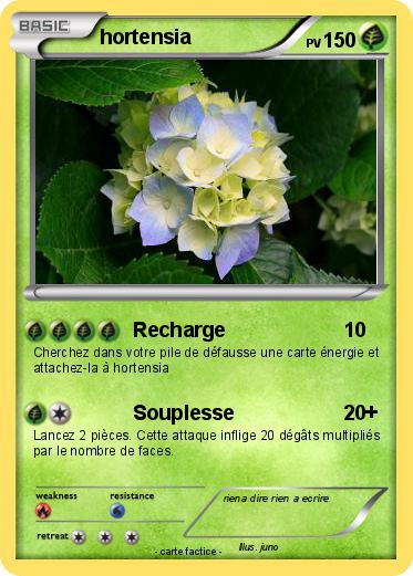 Pokemon hortensia