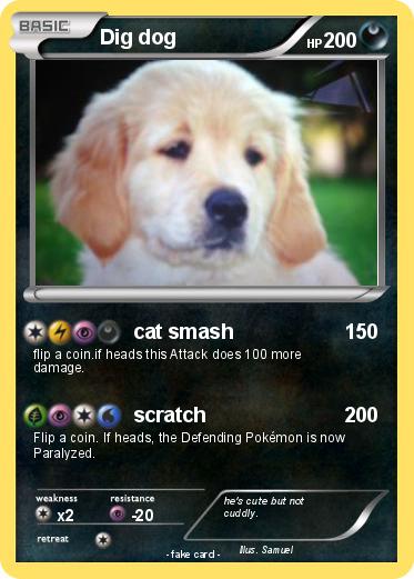 Pokemon Dig dog