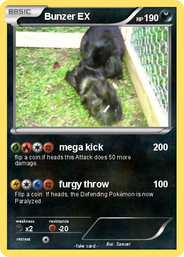 Pokemon Bunzer EX