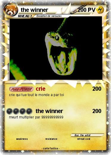 Pokemon the winner
