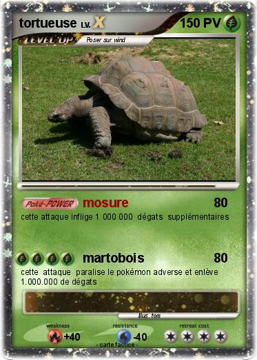 Pokemon tortueuse