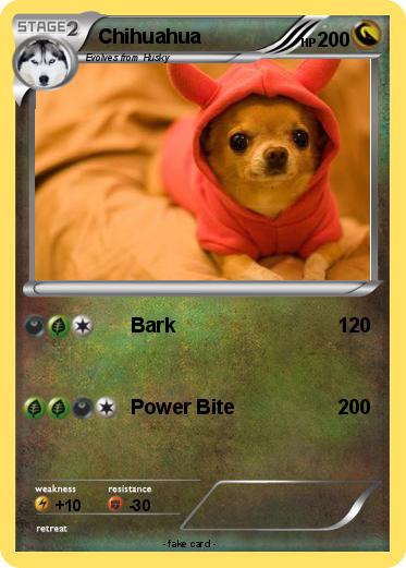 Pokemon Chihuahua