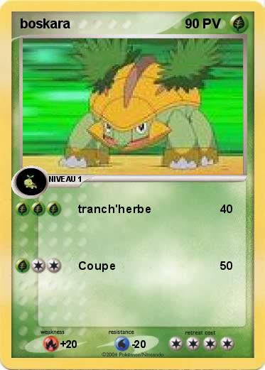 Pokemon boskara