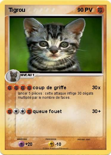 Pokemon Tigrou