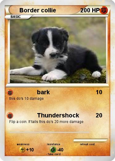 Pokemon Border collie